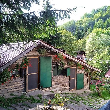 Апартаменти Zimska Idila Crni Vrh Екстер'єр фото
